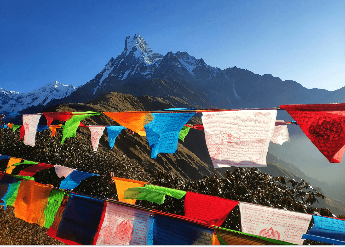 Climbers on a snowy Himalayan mountain