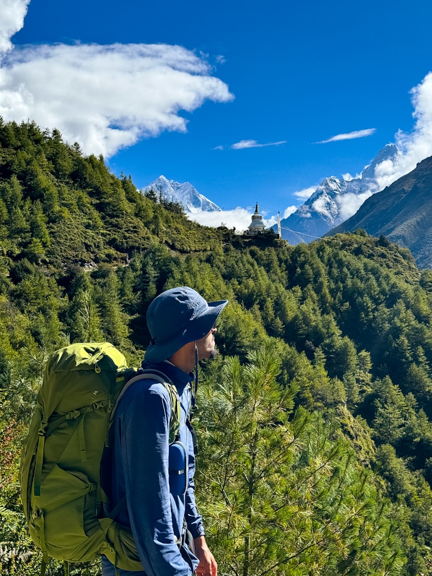 Hiker in green forest